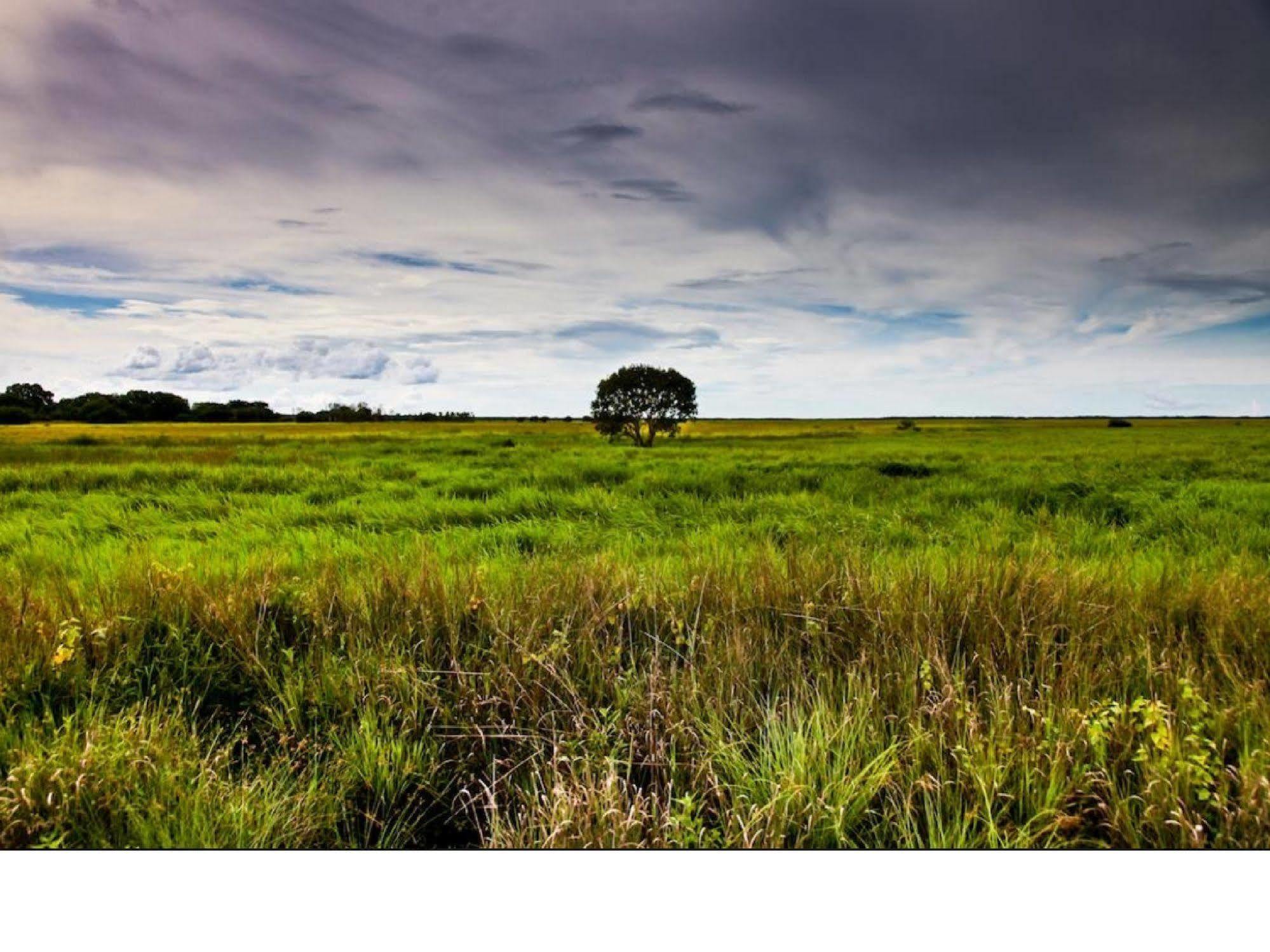 Aurora Kakadu Kakadu National Park Exterior foto