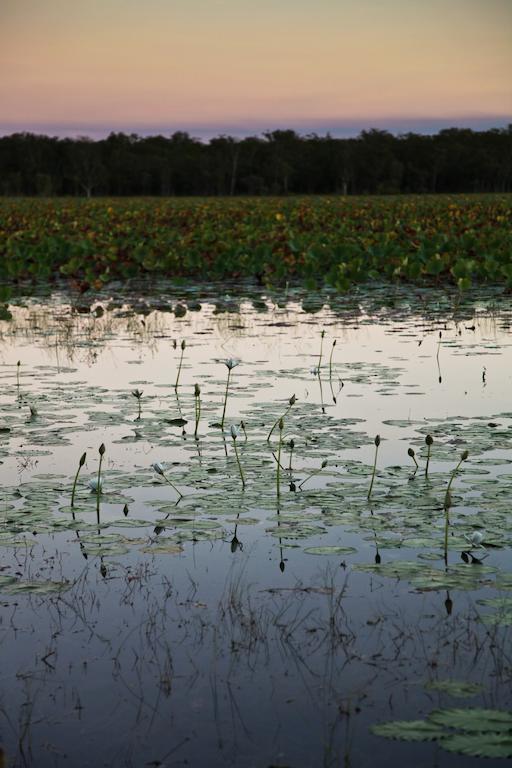 Aurora Kakadu Kakadu National Park Exterior foto