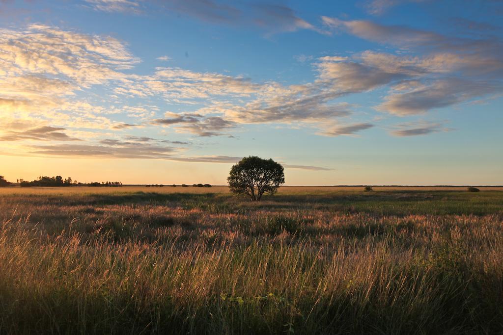 Aurora Kakadu Kakadu National Park Exterior foto